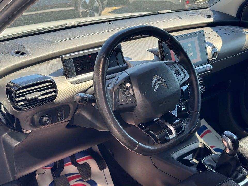 Citroën C4 Cactus 1,6 BlueHDi 100 SkyLine 5d
