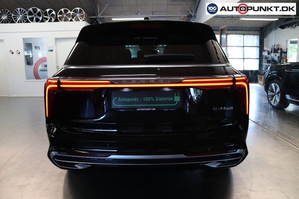 Hongqi E-HS9 99 Premium 5d