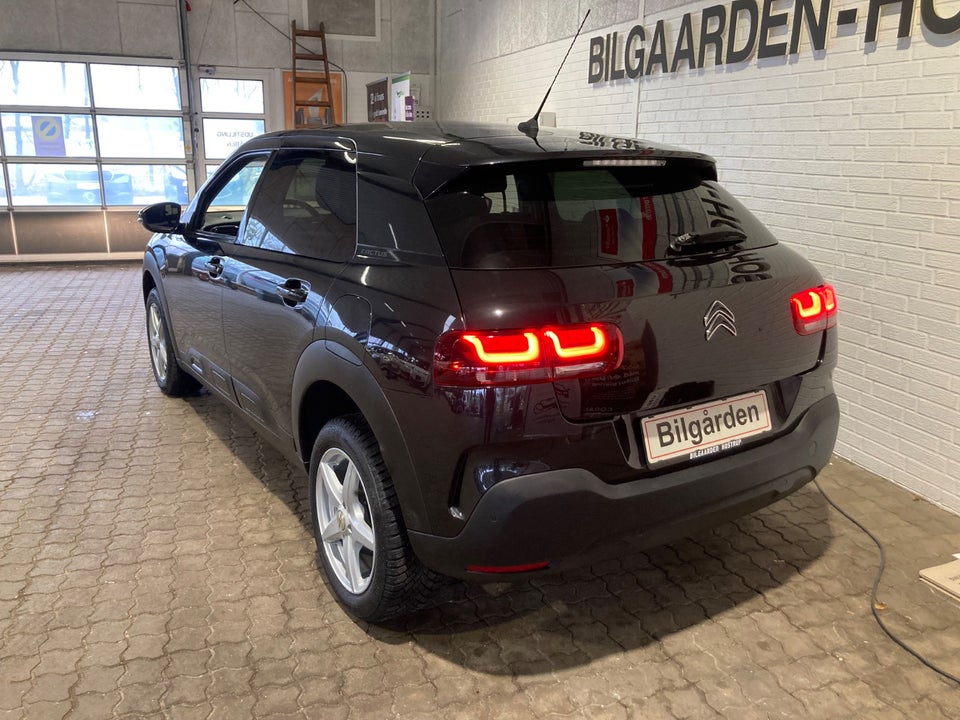 Citroën C4 Cactus 1,6 BlueHDi 100 SkyLine 5d