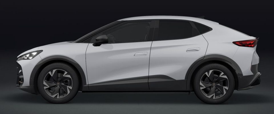 Cupra Tavascan 77 Endurance 5d