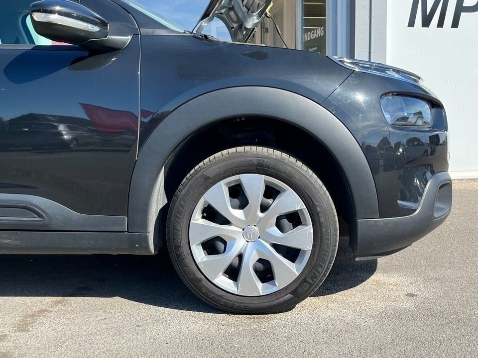 Citroën C4 Cactus 1,6 BlueHDi 100 SkyLine 5d