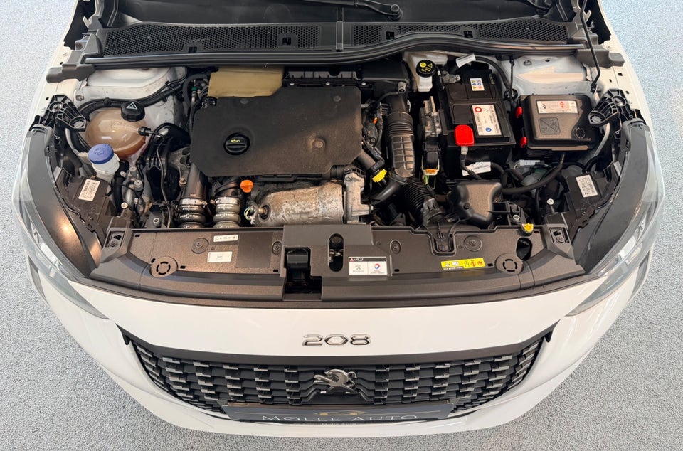 Peugeot 208 1,5 BlueHDi 100 Infinity Sky 5d