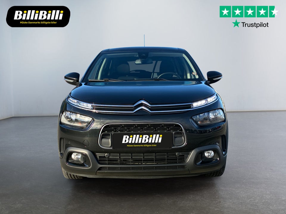 Citroën C4 Cactus 1,5 BlueHDi 100 SkyLine Van 5d