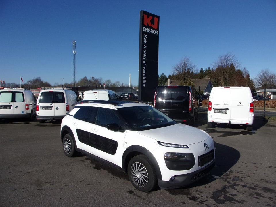 Citroën C4 Cactus 1,6 BlueHDi 100 SkyLine Van 5d