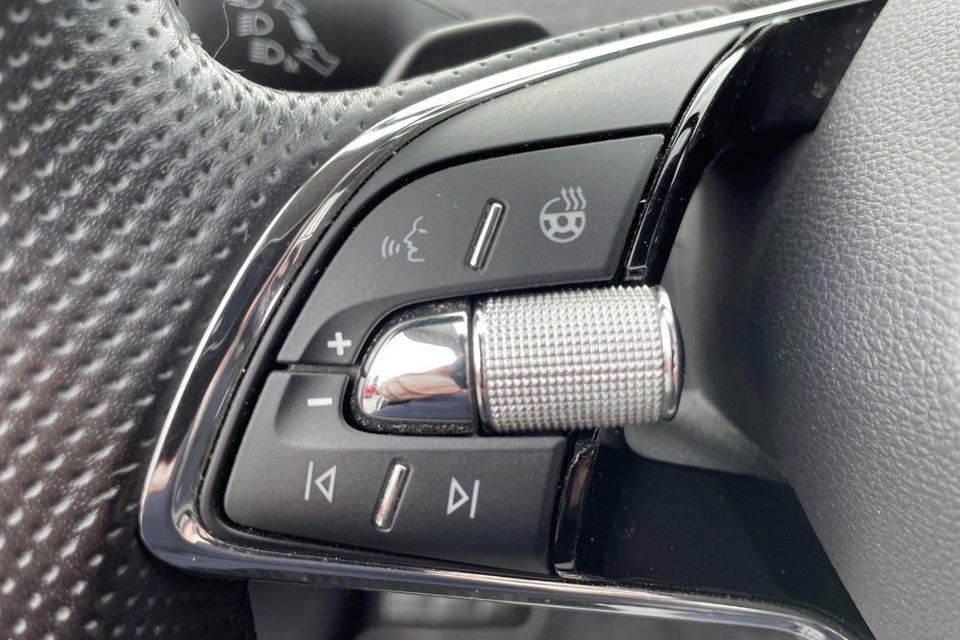 Skoda Enyaq 80 iV 5d