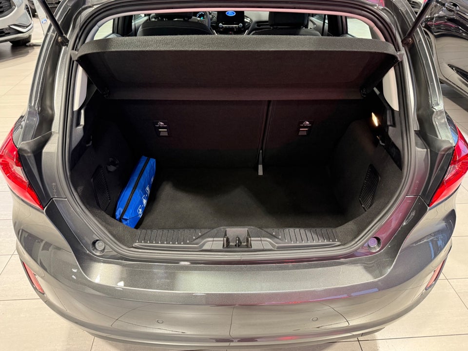 Ford Fiesta 1,5 TDCi 85 Titanium 5d