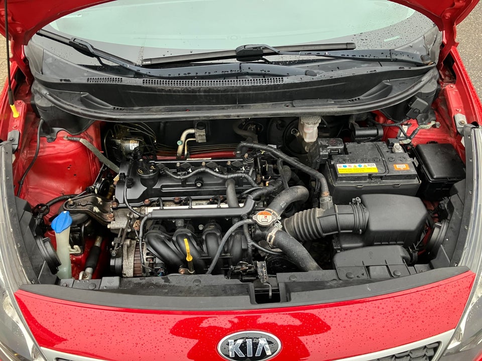 Kia Rio 1,2 CVVT Limited Edition 5d