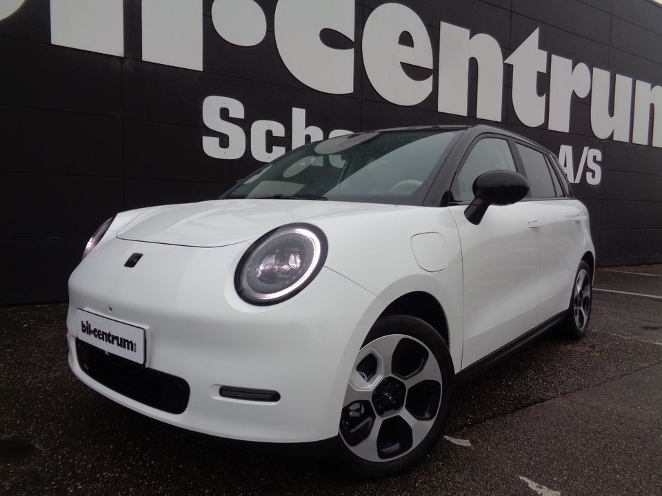 JAC E30X 50 Nordic Edition 5d