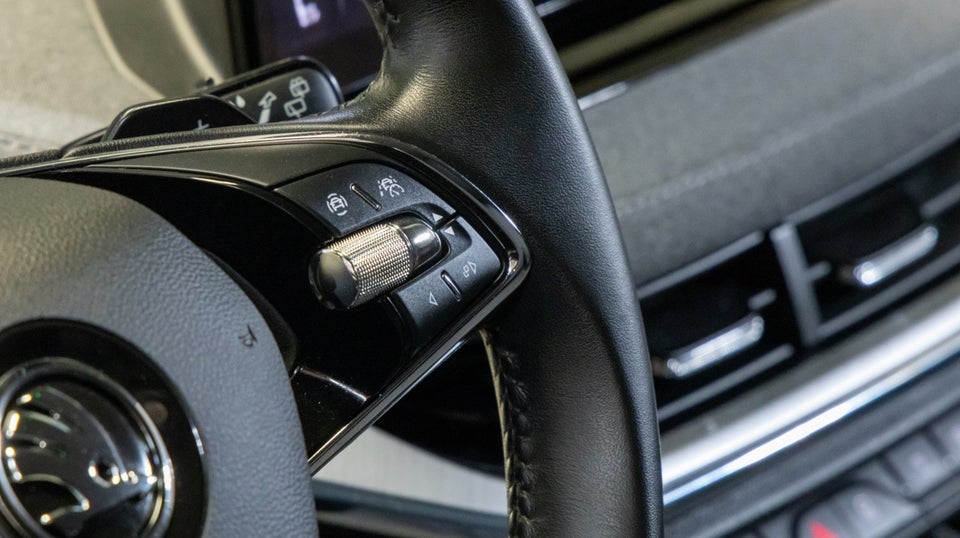 Skoda Enyaq 80x iV Loft 5d