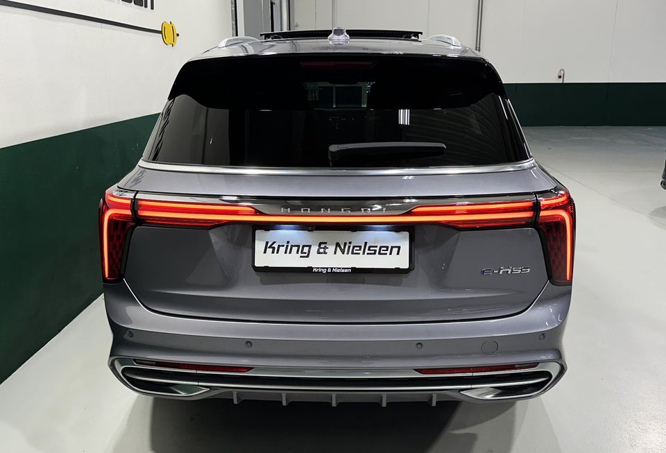 Hongqi E-HS9 99 Exclusive 5d