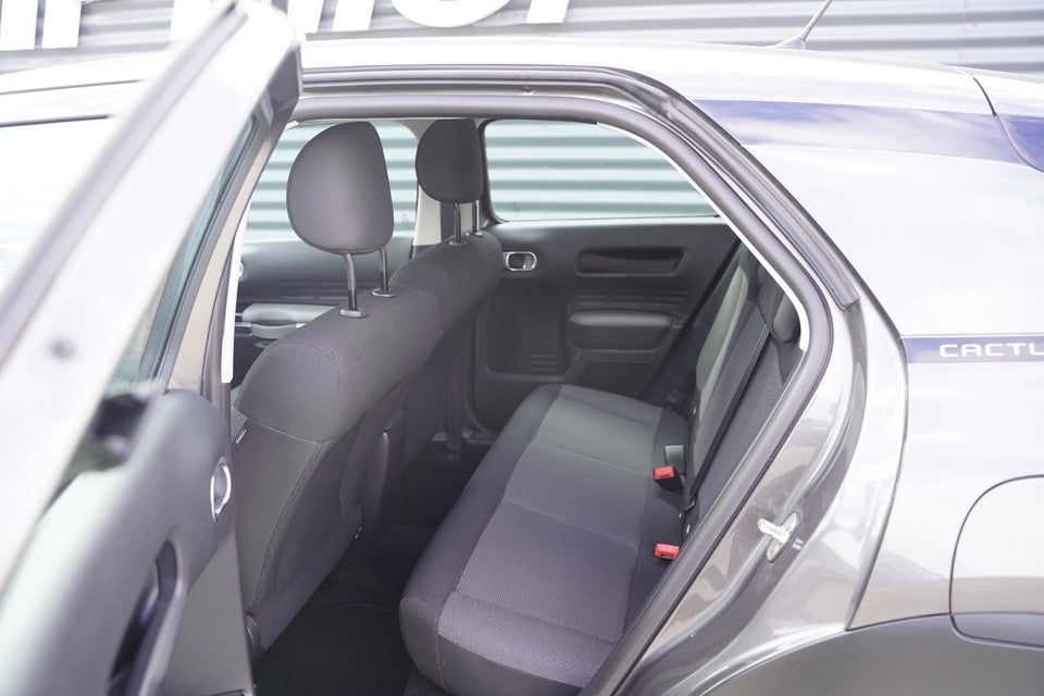 Citroën C4 Cactus 1,5 BlueHDi 100 Platinum LTD 5d