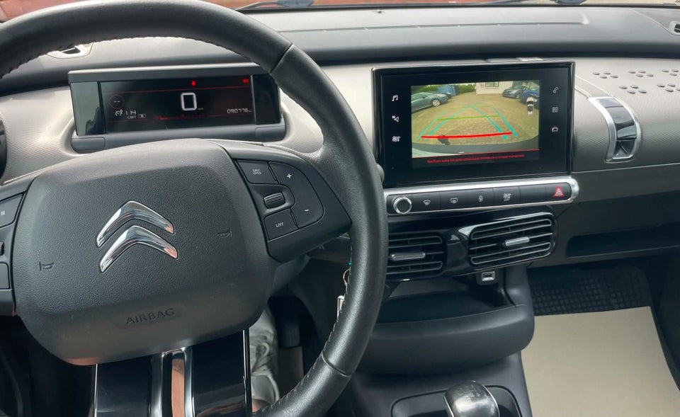 Citroën C4 Cactus 1,5 BlueHDi 100 SkyLine Van 5d