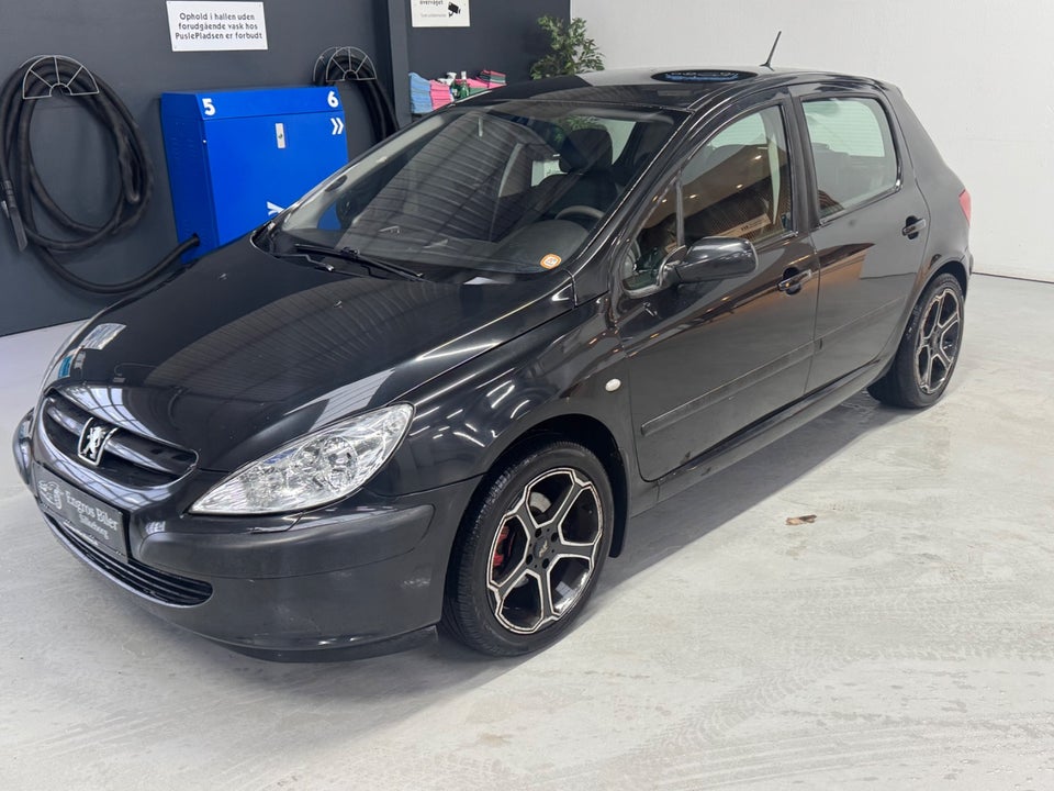 Peugeot 307 2,0 XS 5d