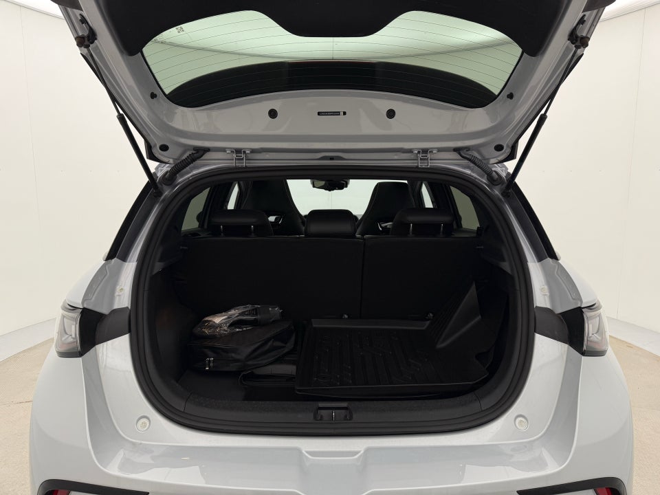 BYD Dolphin 60 Design 5d