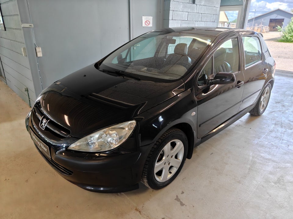 Peugeot 307 2,0 XS 5d