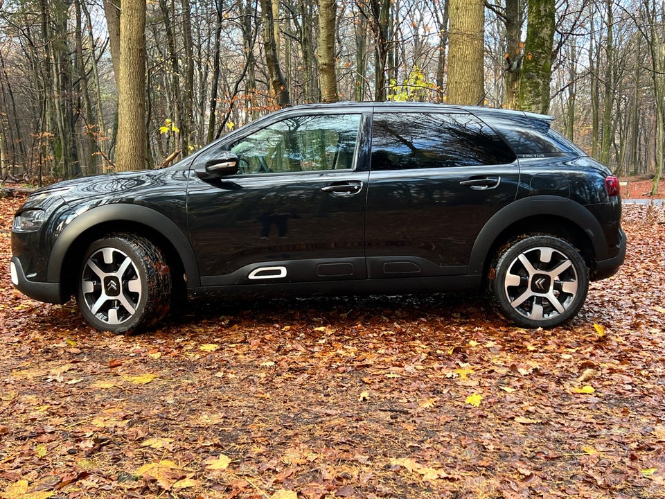 Citroën C4 Cactus 1,5 BlueHDi 100 SkyLine Van 5d