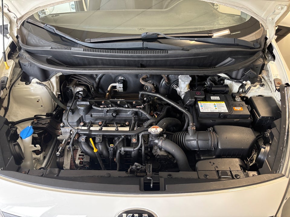 Kia Rio 1,2 CVVT Style 5d