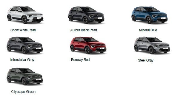 Kia Niro 64 EV Access 5d