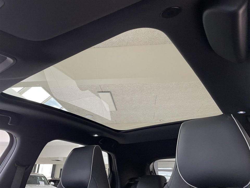 BYD Dolphin 60 Design 5d